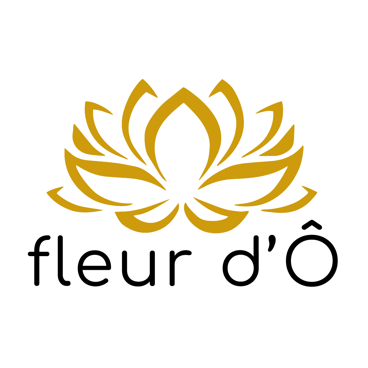Logo Fleur d'Ô