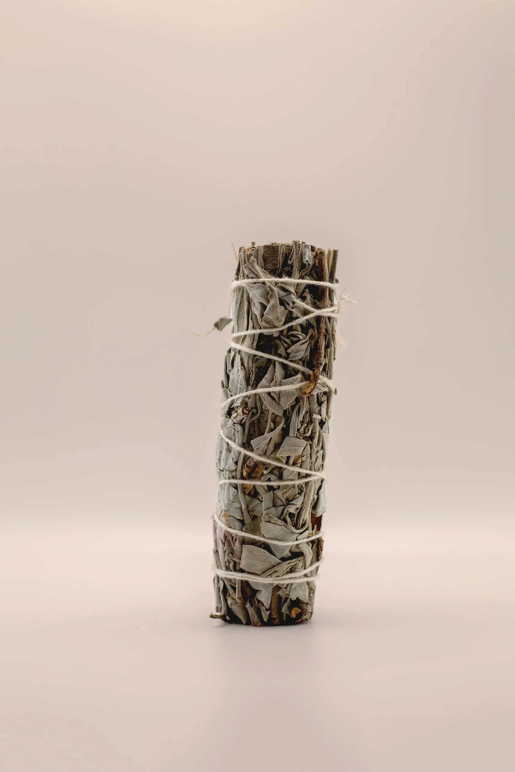 Bâton sauge V3 - Fleur d'Ô